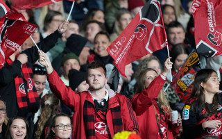 Crusaders fan